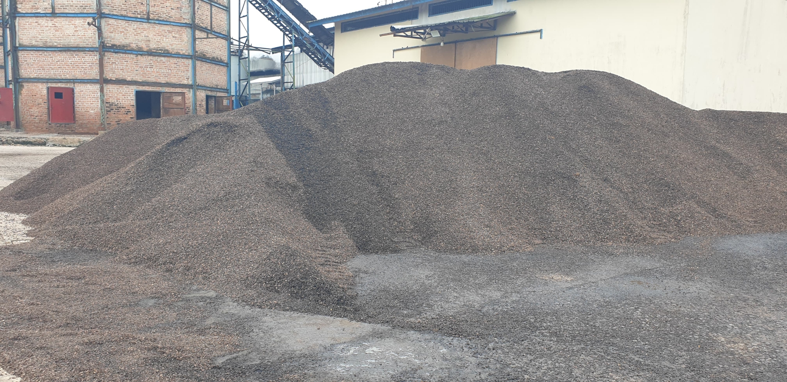 We Are Supplier of Renewable Natural Energy